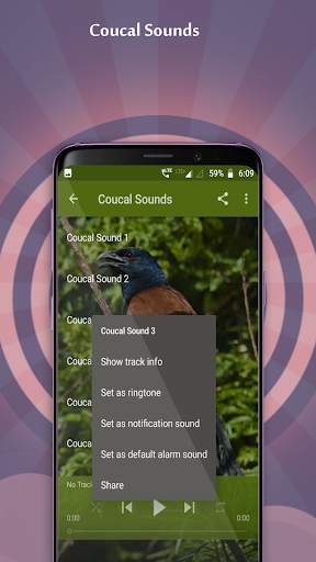 Coucal Sounds screenshot 2