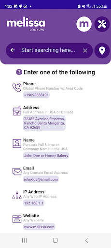 Melissa Lookups screenshot 2