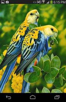 Love Birds Wallpaper Live screenshot 3