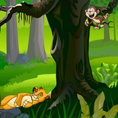 Angry Monkeys icon