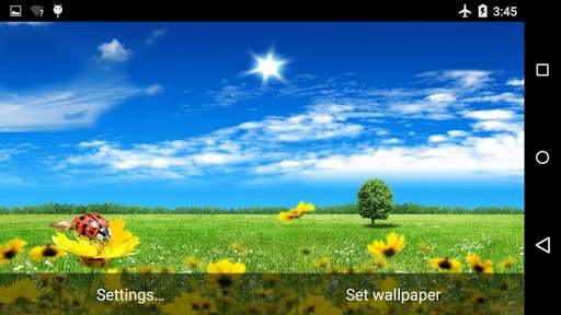 Summer Flowers Live Wallpaper screenshot 2