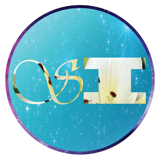 Skin It icon