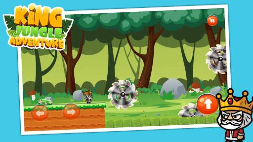 King Jungle Adventure скриншот 4