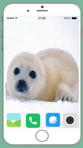 Harb Seal Full HD Wallpaper screenshot 10