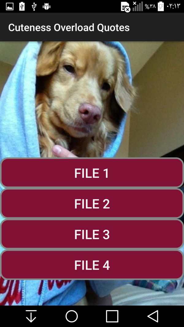 Cute and Funny Animals screenshot 8