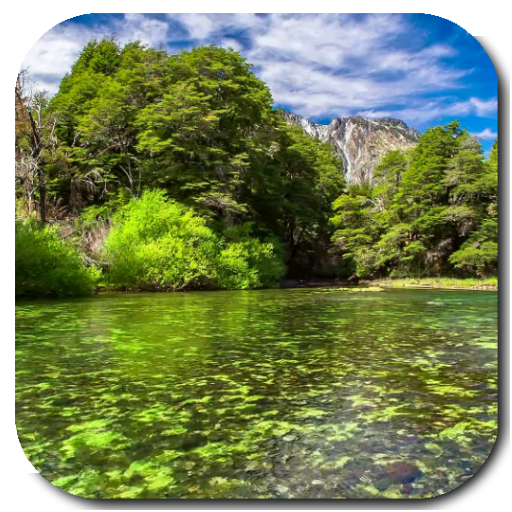 River Video Live Wallpaper icon