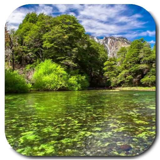 River Video Live Wallpaper 3.0