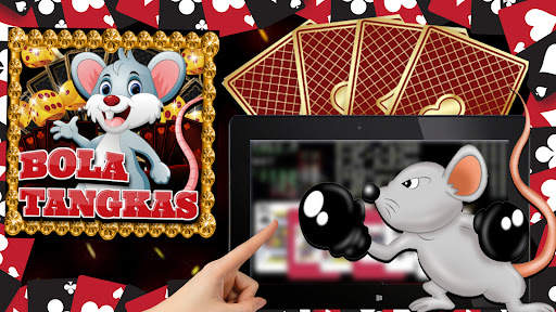 Bola Tangkas Card Play screenshot 2