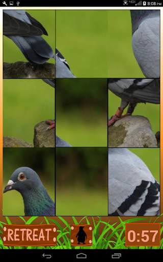 Safari World screenshot 11