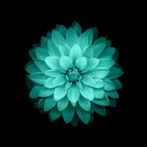 Galaxy Flowers Live Wallpaper 2.2.0