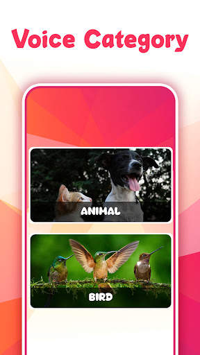 Animal Bird Sounds screenshot 1