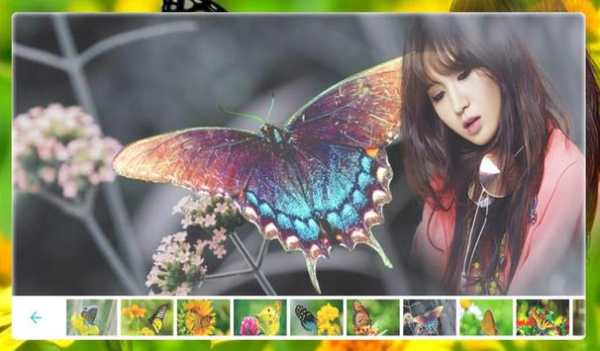 Butterfly Photo frame screenshot 7
