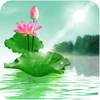 Lotus Live Wallpaper 1.0