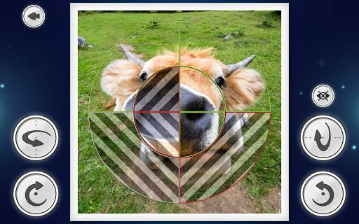 IMAGEine Premium screenshot 11