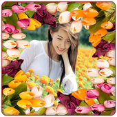 Tulip Photo Frames icon
