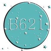 B621 Camera Editor