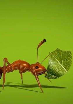 Ant Live Wallpaper screenshot 2