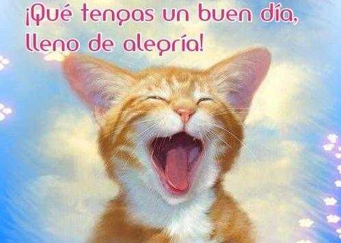 Buenos Dias screenshot 2