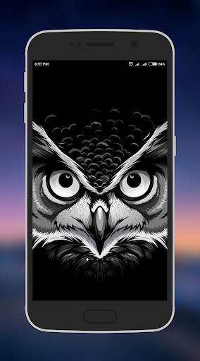Owl Wallpapers 6 تصوير الشاشة