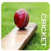 Cricket icon