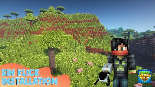 Texturepacks für Minecraft PE screenshot 3