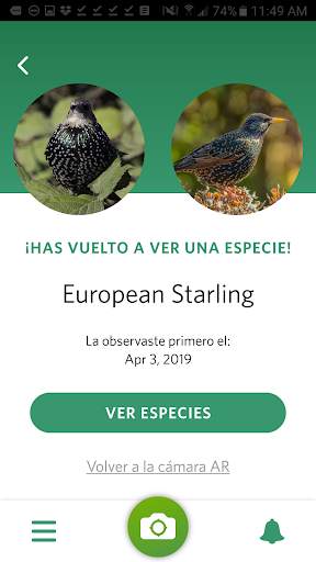 Seek, por iNaturalist screenshot 3