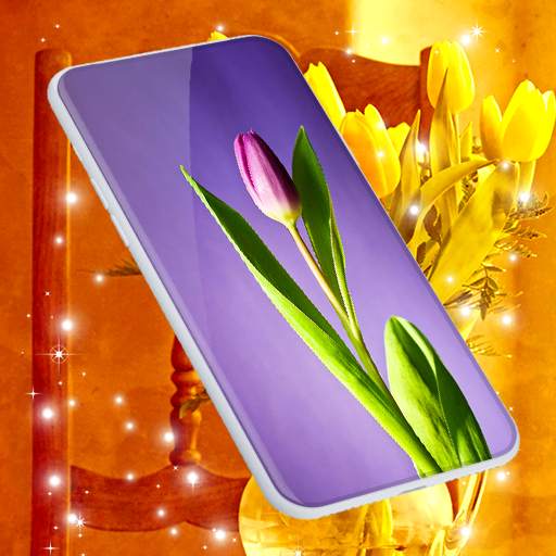 Tulip Spring 4K Wallpapers 6.9.23