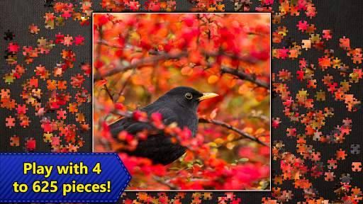 Jigsaw Puzzles Epic 15 تصوير الشاشة