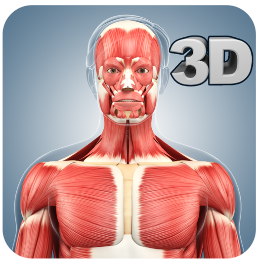 Muscle Anatomy Pro. icon