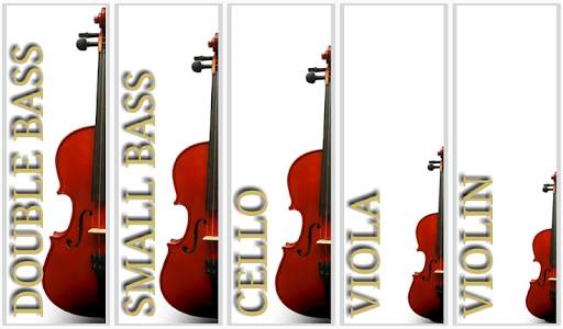 Maple Violin screenshot 11