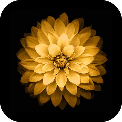 Blacker Dark AMOLED Wallpapers 1.0