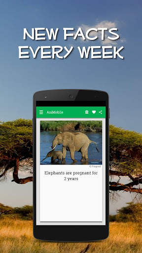 Daily Animal Facts and Pics screenshot 6