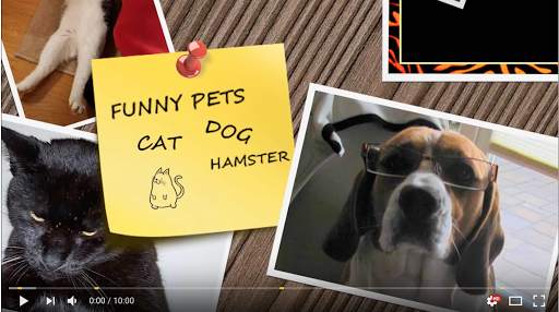 Funny Videos screenshot 2