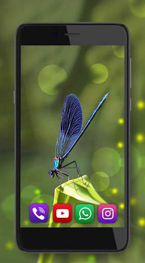 Dragonfly Live Wallpaper screenshot 5