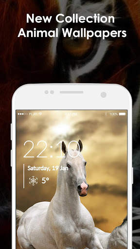 Animal Wallpaper 2021 screenshot 3
