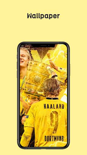 Haaland 2021 || Wallpaper, WhatsApp Sticker, Video screenshot 7