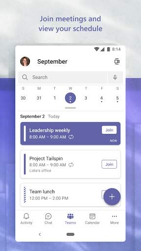 Microsoft Teams screenshot 7