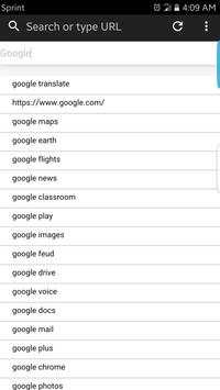 Epic Browser screenshot 4