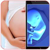 Ultrasound Scanner – Xray Scanner Prank 1.0