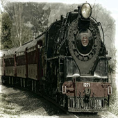 Quick train search icon