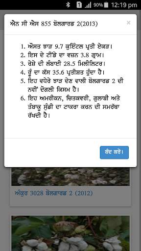 Cotton DSS screenshot 3
