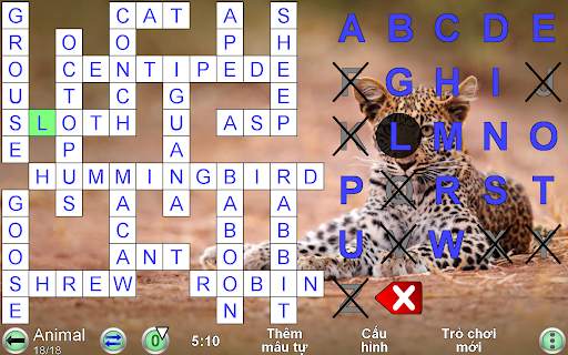 Mã ô Chữ screenshot 16