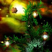 Tree In Night LWP 2