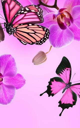 Pink Butterfly Live Wallapper screenshot 6