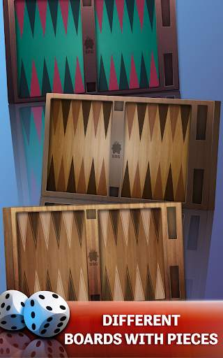 Backgammon-Offline Board Games screenshot 11