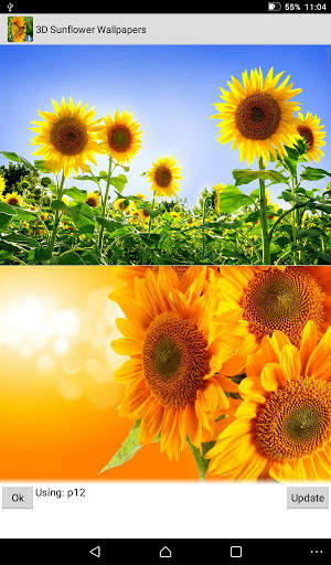 3D Sunflower Wallpaper - Screen Lock, Sensor, Auto screenshot 3