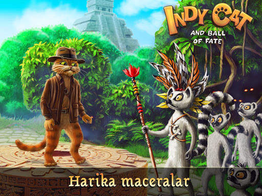Indy Cat Match 3 screenshot 17