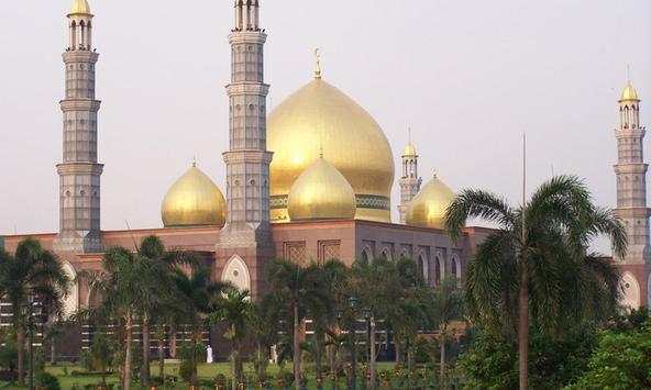 Beautiful mosques wallpapers screenshot 1