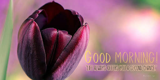 Good Morning screenshot 8