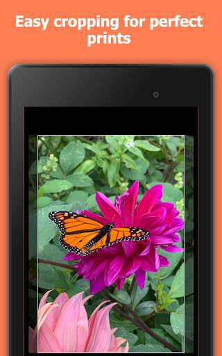 Fast Photo Prints 1 Hour Print Photos. Photo Print screenshot 10